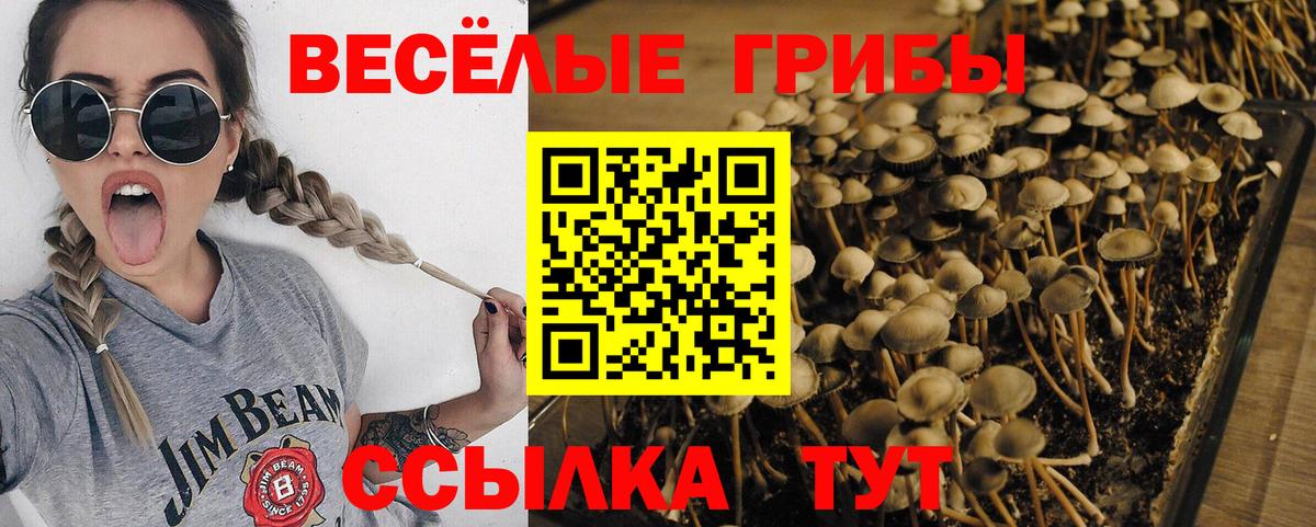 Галлюциногенные грибы мухоморы Белогорск