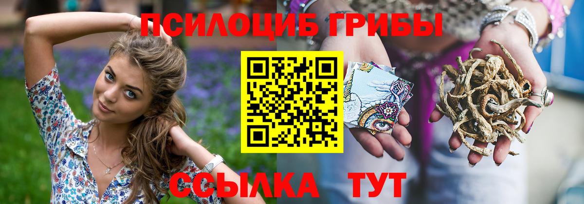 Белогорск  Галлюциногенные грибы MAGIC MUSHROOMS  Вход с VPN  Галлюциногенные грибы Psilocybine cubensis 